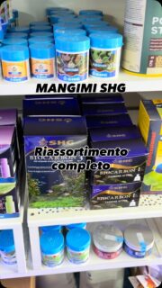 Riassortimento @shg_leccellenzainacquario 
Trovate tutta la linea anche online su www.acquariologianapoli.com
.
.
.
Cip&CiopAcquariologia 
C.so San Giovanni 307
Napoli 80146 📍
081 7527591 ☎️ 
Whatsapp 333 4115545 📩
www.acquariologianapoli.com 💻 
-  Consulenza 🗣️
-  Progettazione ✏️📐
-  Realizzazione 🏗️
-  Manutenzione ⚒️🧽
-  Vendita 💰💳
Solo alcuni dei servizi offerti a chi si affida a noi!

#cipeciopacquariologia 
#aquarium #mangimi #acquario