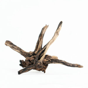 AQPET - Zen Wood Black Slim M - Legno naturale decorativo Medium Size