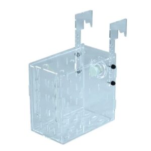 Box di isolamento per pesci 10x17x16 cm